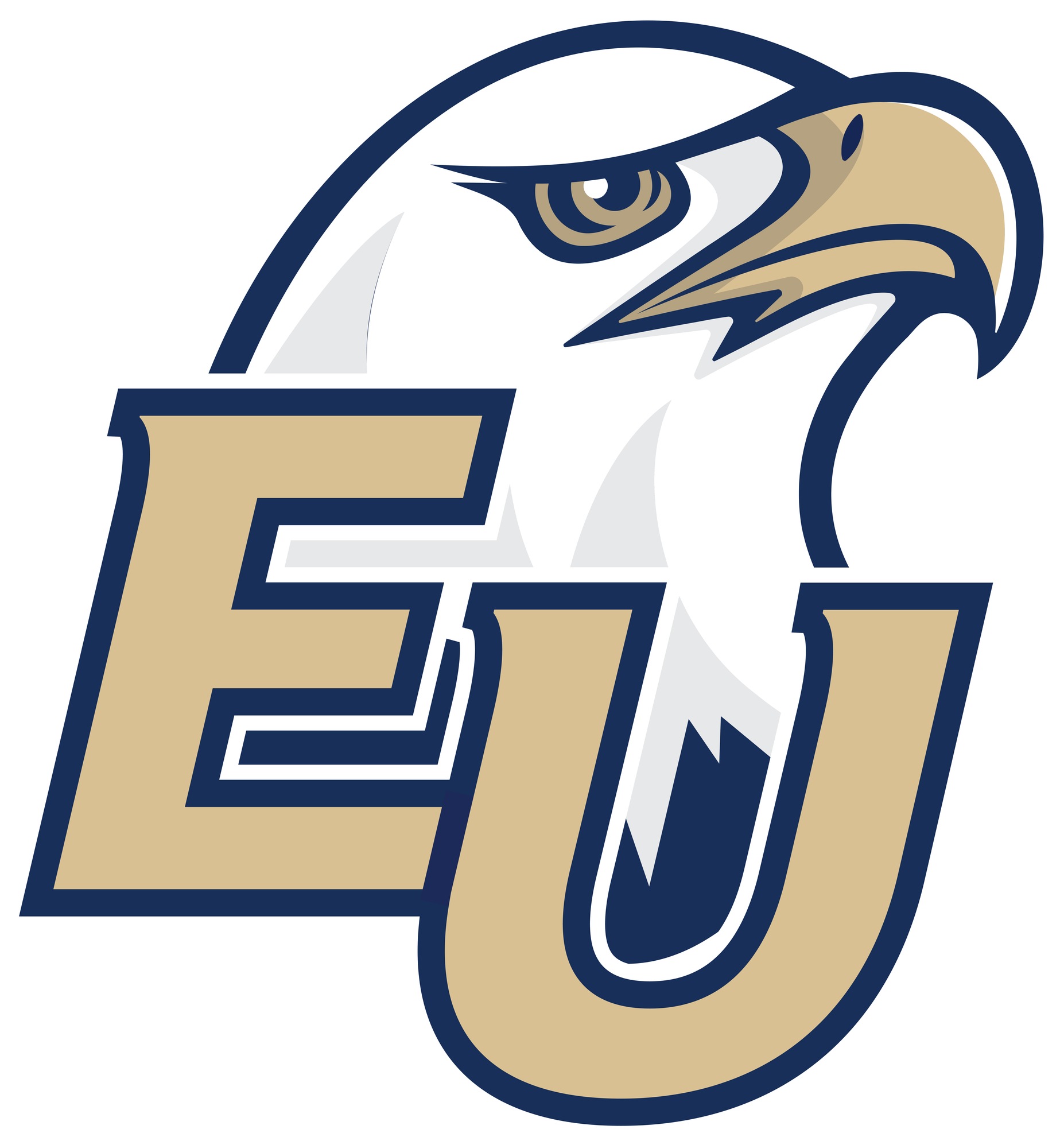 EU Eagle Primary Logo