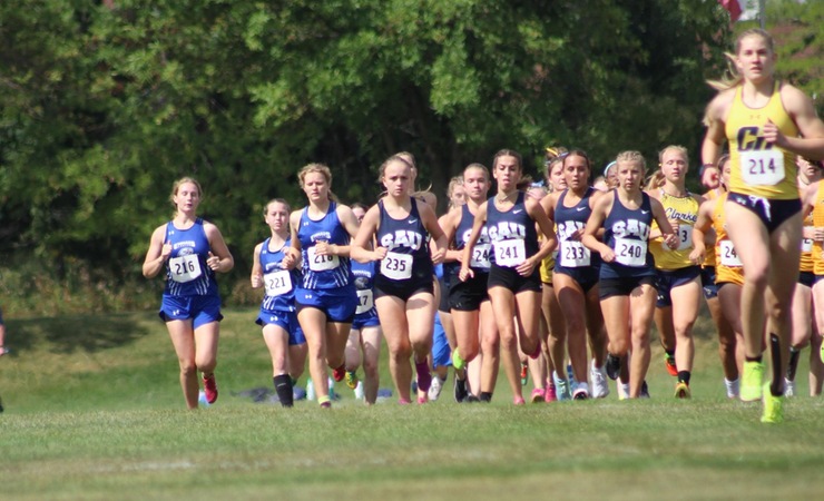 NCCAA Releases Men's and Women's Cross Country Reports